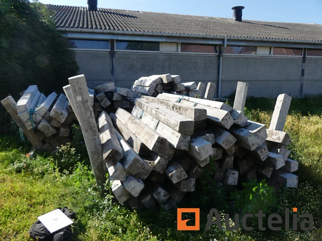 +/- 140 pal van gewapend beton - afbeelding 6 van  7