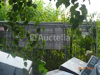 +/- 25 erras slagbomen gelegen aan de achterzijde van het gebouw - afbeelding 2 van  2