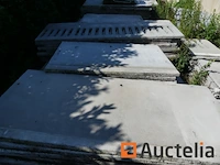 +/- 250 betonnen scheidingspanelen - afbeelding 3 van  12