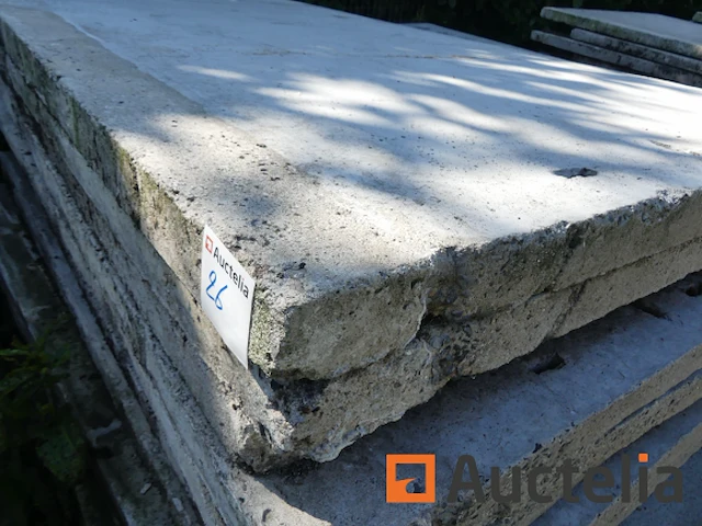 +/- 250 betonnen scheidingspanelen - afbeelding 11 van  12