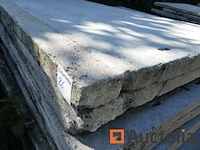 +/- 250 betonnen scheidingspanelen - afbeelding 11 van  12