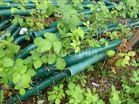 +/- 30 staken en 3 rol tuinhek - afbeelding 4 van  7