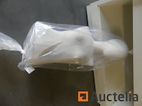 [010063-003] 2 bustes - afbeelding 5 van  6