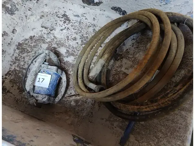 1 beton trilnaald carat - afbeelding 1 van  4