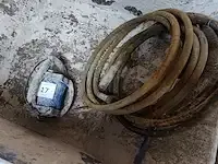 1 beton trilnaald carat - afbeelding 1 van  4