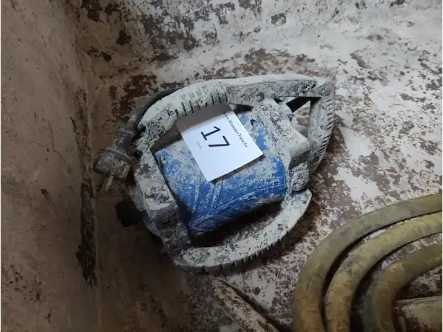 1 beton trilnaald carat - afbeelding 2 van  4