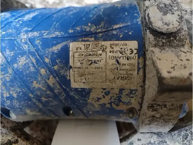1 beton trilnaald carat - afbeelding 3 van  4