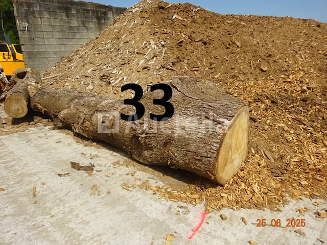 1 boomstam op een lengte van 6m/diam, 1m beginnend voor een einde van 80cm, 1 boomstamlengte +/- 6m80/diam. 70cm, 4 boomstammen over een totale lengte van +/- 10m - afbeelding 2 van  10