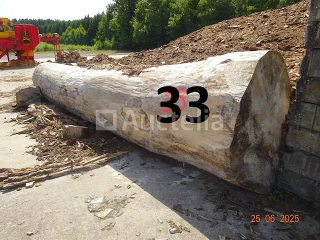1 boomstam op een lengte van 6m/diam, 1m beginnend voor een einde van 80cm, 1 boomstamlengte +/- 6m80/diam. 70cm, 4 boomstammen over een totale lengte van +/- 10m - afbeelding 3 van  10