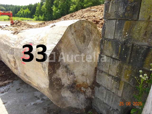 1 boomstam op een lengte van 6m/diam, 1m beginnend voor een einde van 80cm, 1 boomstamlengte +/- 6m80/diam. 70cm, 4 boomstammen over een totale lengte van +/- 10m - afbeelding 4 van  10