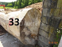 1 boomstam op een lengte van 6m/diam, 1m beginnend voor een einde van 80cm, 1 boomstamlengte +/- 6m80/diam. 70cm, 4 boomstammen over een totale lengte van +/- 10m - afbeelding 4 van  10