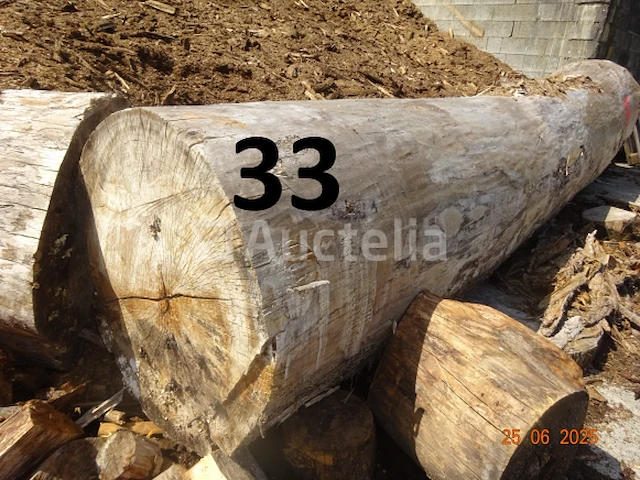 1 boomstam op een lengte van 6m/diam, 1m beginnend voor een einde van 80cm, 1 boomstamlengte +/- 6m80/diam. 70cm, 4 boomstammen over een totale lengte van +/- 10m - afbeelding 5 van  10