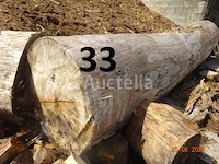 1 boomstam op een lengte van 6m/diam, 1m beginnend voor een einde van 80cm, 1 boomstamlengte +/- 6m80/diam. 70cm, 4 boomstammen over een totale lengte van +/- 10m - afbeelding 5 van  10