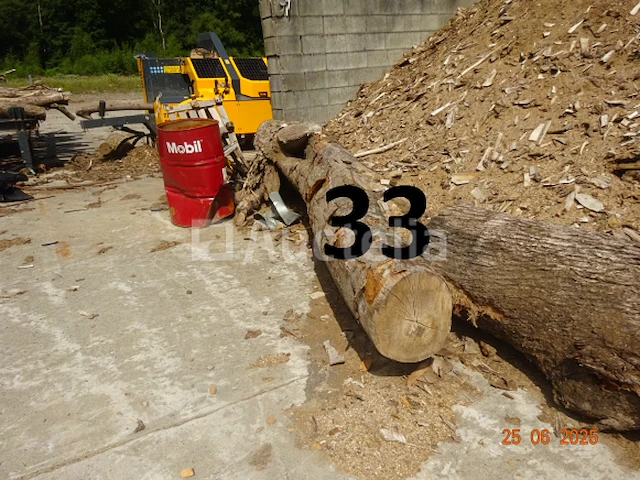 1 boomstam op een lengte van 6m/diam, 1m beginnend voor een einde van 80cm, 1 boomstamlengte +/- 6m80/diam. 70cm, 4 boomstammen over een totale lengte van +/- 10m - afbeelding 6 van  10