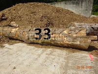 1 boomstam op een lengte van 6m/diam, 1m beginnend voor een einde van 80cm, 1 boomstamlengte +/- 6m80/diam. 70cm, 4 boomstammen over een totale lengte van +/- 10m - afbeelding 7 van  10