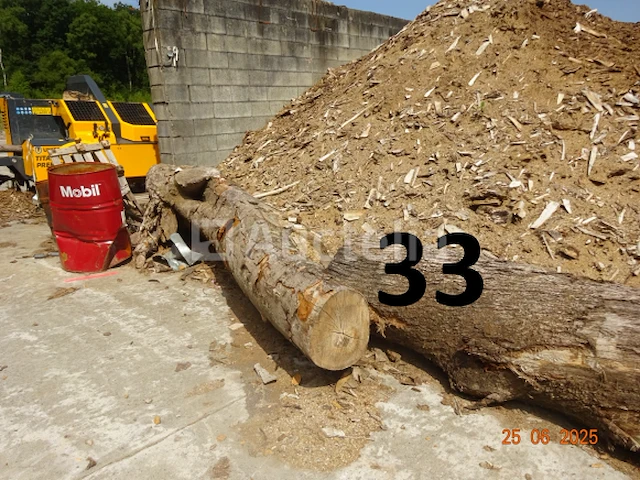 1 boomstam op een lengte van 6m/diam, 1m beginnend voor een einde van 80cm, 1 boomstamlengte +/- 6m80/diam. 70cm, 4 boomstammen over een totale lengte van +/- 10m - afbeelding 8 van  10