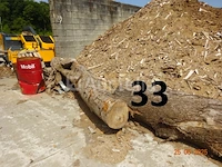 1 boomstam op een lengte van 6m/diam, 1m beginnend voor een einde van 80cm, 1 boomstamlengte +/- 6m80/diam. 70cm, 4 boomstammen over een totale lengte van +/- 10m - afbeelding 8 van  10