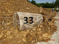 1 boomstam op een lengte van 6m/diam, 1m beginnend voor een einde van 80cm, 1 boomstamlengte +/- 6m80/diam. 70cm, 4 boomstammen over een totale lengte van +/- 10m - afbeelding 9 van  10