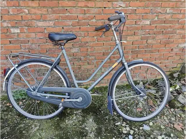 1 damesfiets goudenleeuw - afbeelding 1 van  3