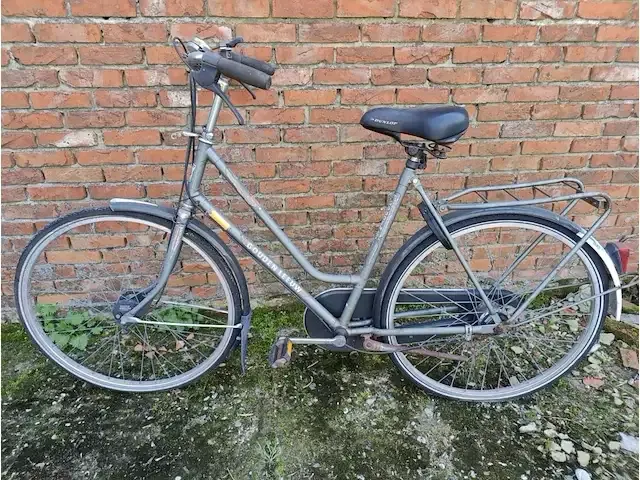 1 damesfiets goudenleeuw - afbeelding 2 van  3