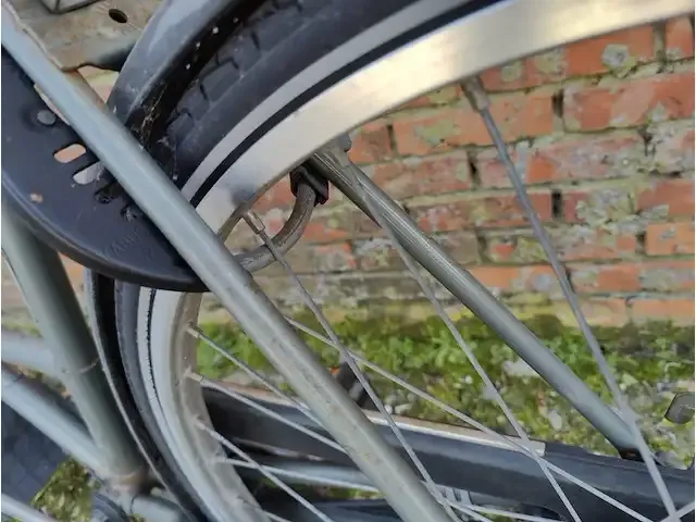 1 damesfiets goudenleeuw - afbeelding 3 van  3
