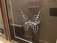 1 decoratieve kader flamant butterfly - afbeelding 2 van  4