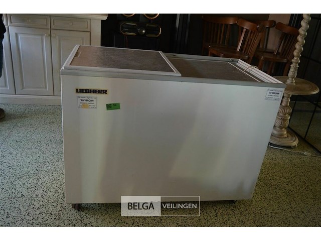 1 diepvries kist liebert 220 v - afbeelding 1 van  4