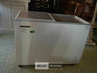 1 diepvries kist liebert 220 v - afbeelding 1 van  4