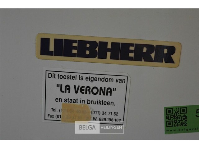 1 diepvries kist liebert 220 v - afbeelding 2 van  4