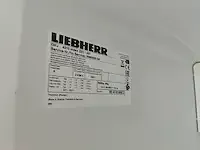 1 diepvries liebherr profiline - afbeelding 5 van  5