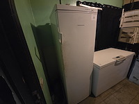 1 diepvrieskast scandomestic - afbeelding 1 van  5