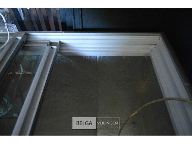 1 diepvrieskist ice cream nestle 220v - afbeelding 4 van  4