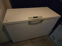 1 diepvrieskoffer bosch - afbeelding 1 van  4