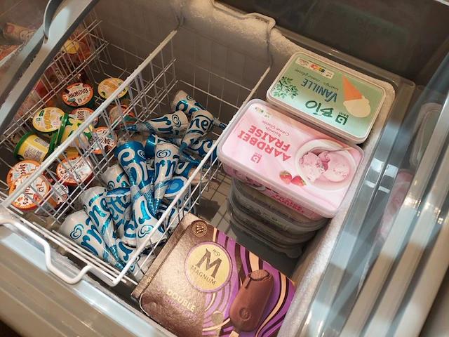 1 diepvrieskoffer ggm gastro met inhoud - afbeelding 3 van  4