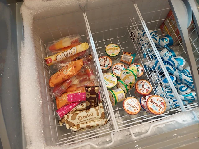 1 diepvrieskoffer ggm gastro met inhoud - afbeelding 4 van  4