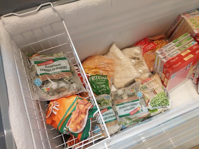 1 diepvrieskoffer ggm gastro met inhoud - afbeelding 4 van  5