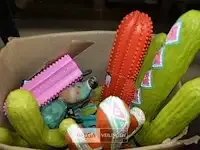1 doos met diverse kunstof cactussen diverse modellen en grotes - afbeelding 3 van  3