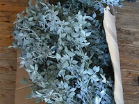 1 doos plastiek bladeren - afbeelding 2 van  3