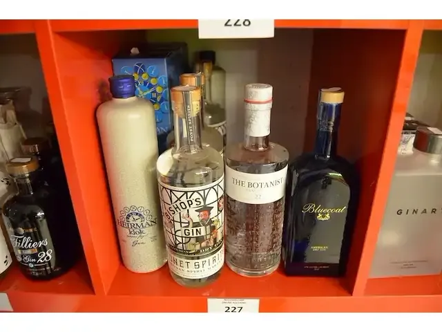 1 fles bluecoat dry gin 70cl, 1 fles the botanist dry gin 70cl, 3 flessen bishops gin 70cl, 5 flessen heirman klok gin 70cl (628,629,630,631) - afbeelding 1 van  5