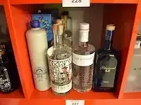 1 fles bluecoat dry gin 70cl, 1 fles the botanist dry gin 70cl, 3 flessen bishops gin 70cl, 5 flessen heirman klok gin 70cl (628,629,630,631)