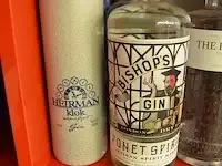 1 fles bluecoat dry gin 70cl, 1 fles the botanist dry gin 70cl, 3 flessen bishops gin 70cl, 5 flessen heirman klok gin 70cl (628,629,630,631) - afbeelding 5 van  5