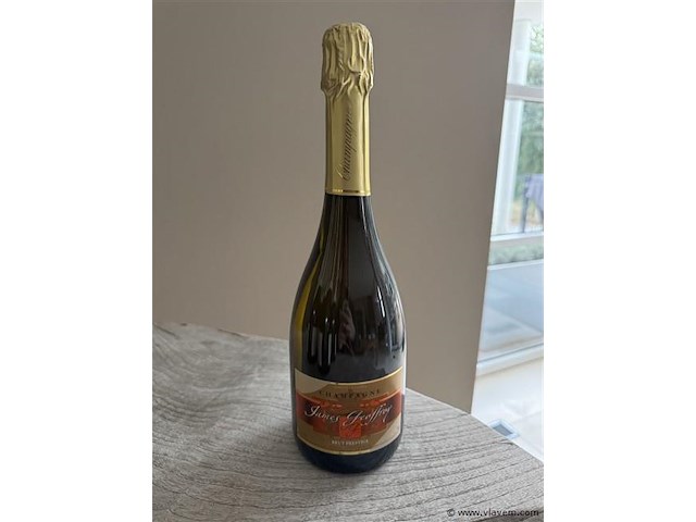 1 fles champagne james geoffroy brut - afbeelding 1 van  1
