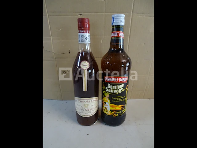 1 fles oude pineau des charentes, 1 fles wilde gentiano - afbeelding 1 van  7