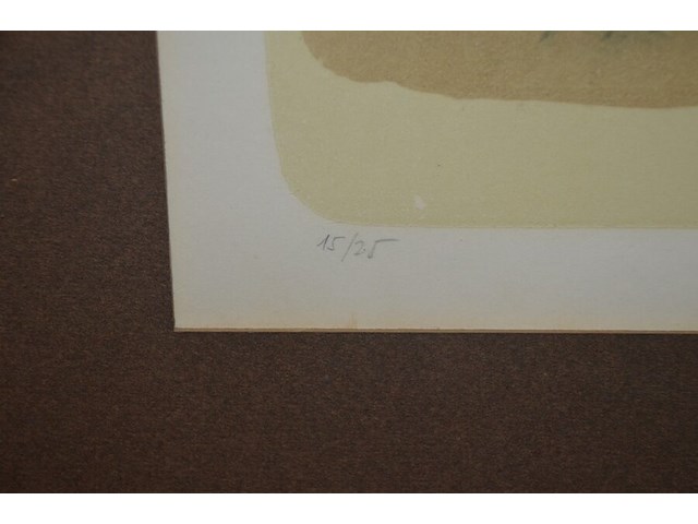 1 foto achter glas (genummerd), schilderij fruit - afbeelding 8 van  10