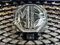 1 grill met camera + front mg ehs - afbeelding 3 van  7
