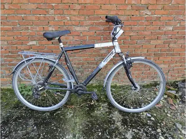 1 herenfiets formula - afbeelding 1 van  3