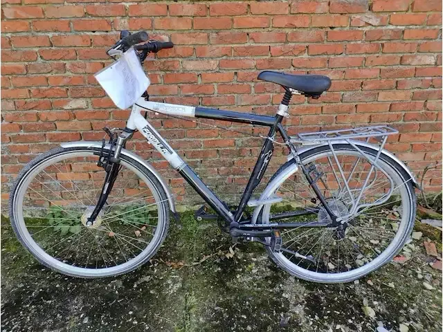 1 herenfiets formula - afbeelding 3 van  3