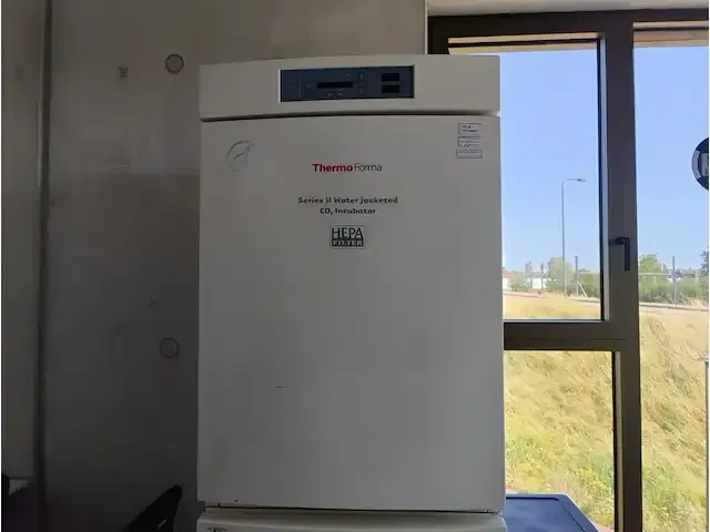1 incubator thermo forma model series 2 3310 np: € 10000 - afbeelding 1 van  7