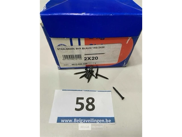 1 kg stalen nagels 2 x 20 mm - afbeelding 1 van  3
