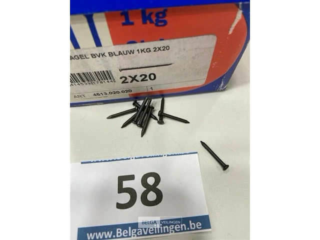1 kg stalen nagels 2 x 20 mm - afbeelding 3 van  3